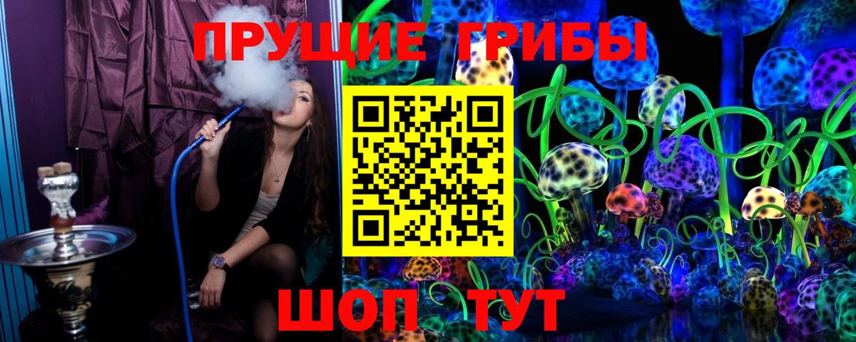 Псилоцибиновые грибы Psilocybine cubensis  Вход с VPN  Уссурийск 